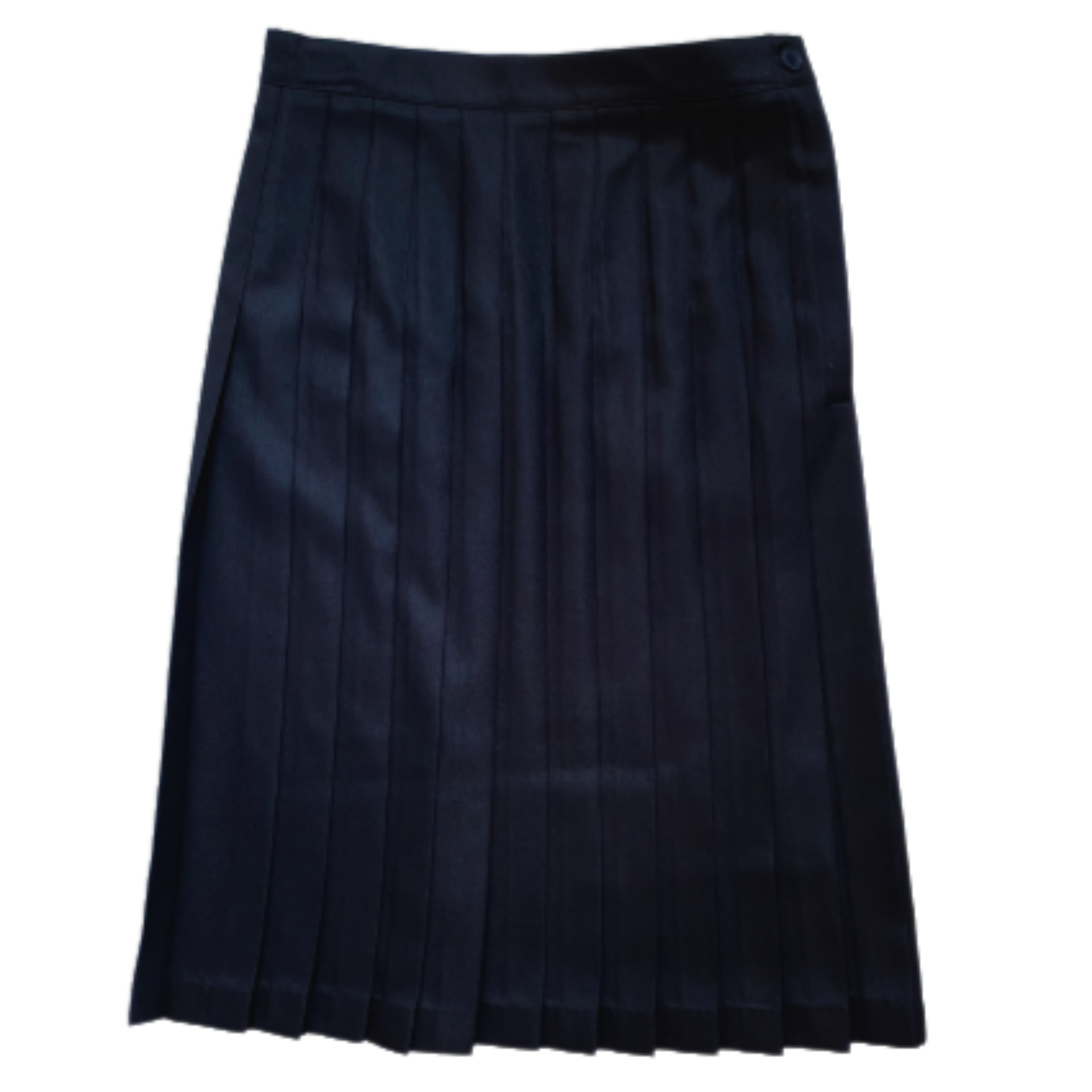 Pleated navy 2024 blue skirt