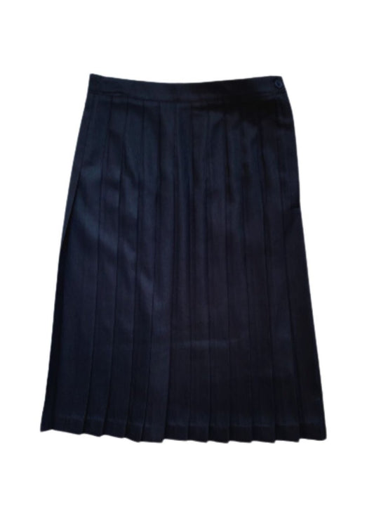 Navy Pleated Skirt